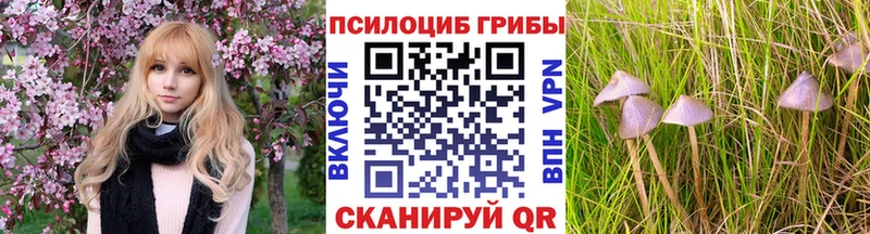 Галлюциногенные грибы мицелий  Черногорск 